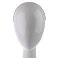 thumbnail image 1 of pitrice Plastic Female Mannequin Manikin Head Model for Wigs Glasses Hats Display, 1 of 9