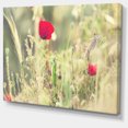 thumbnail image 2 of Meadow with Wild Poppy Flowers - Large Flower Canvas Art Print, 2 of 3