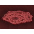 thumbnail image 1 of Ahgly Company Tapis Rectangulaire Lavable en Machine Rouge Transitionnel, 7 Pieds x 10 Pieds, 1 of 7