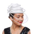 thumbnail image 1 of Harpily Tea Party Fascinator Kentuckys Derbys Hat Fascinator Pillbox Hat Headband for Cocktail, 1 of 4