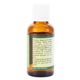 thumbnail image 2 of Peach Kernal Oil Prunus Persica Peach Kernel Oil For Skin For Hair For Body For Diffuser Pure Natural Cold Pressed 50ml 1.69oz By R V Essential, 2 of 2