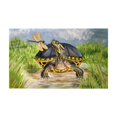 thumbnail image 1 of Betsydrake DM1182G Tapis de Porte Libellule à Tortue 30 x 50 Po - Grand, 1 of 1