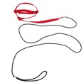 thumbnail image 3 of Bird Leash, Bird Flying Rope Bite  Lightweight  For Attending Party For Walking, 3 of 8