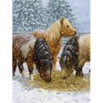 thumbnail image 1 of Carolines Treasures ASA2146GF Shetland Ponies Flag Garden Size, 1 of 3
