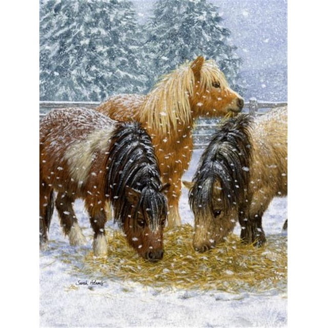 Carolines Treasures ASA2146GF Shetland Ponies Flag Garden Size