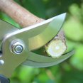 thumbnail image 4 of Jinsinto Multifunction Gardening Pruners and Scissors Hand Branch Cutter for Flowers and Plants, 4 of 5