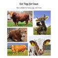 thumbnail image 2 of Mistaha 100PCS Blank Ear Tags Drop-Proof Recognizable Animal Livestock Ear for Cows Sheep Pigs, 2 of 7