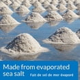 thumbnail image 2 of API Quart Sel pour Aquarium, 936g, 2 of 6