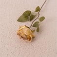 thumbnail image 1 of TIMIFIS Artificial Flowers for Outdoors Simulation Rose Artificial Flower Home Decoration Wedding Rose Artificial Flower Home Decoration Wedding Outdoor Faux Plants, 1 of 1