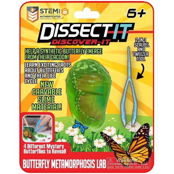 Trousses de dissection Dissect It – Série Découverte - Papillon