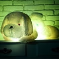 thumbnail image 2 of Fridja LED Luminous Cute Papa Dog Big Dog Doll Will Luminous Plush Toy Christmas Gift for Kids, 2 of 5