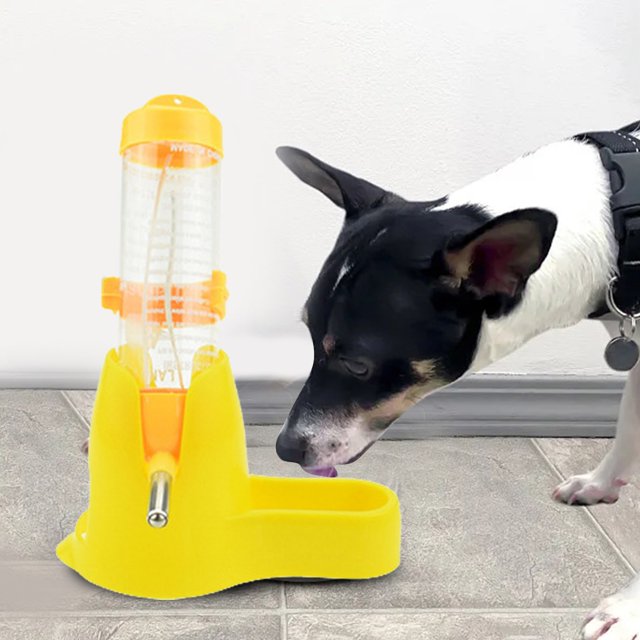 Automatic Feeders for Small -Functional Drinking and Food Dispenser for Hamsters Rabbits and Ferrets -Saving Pet Care Solution