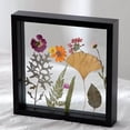thumbnail image 1 of yeacher Double-Sided Glass Dried Flower Frame - Black Square 7 Inch (18x18cm) for DIY Home Decor, 1 of 6