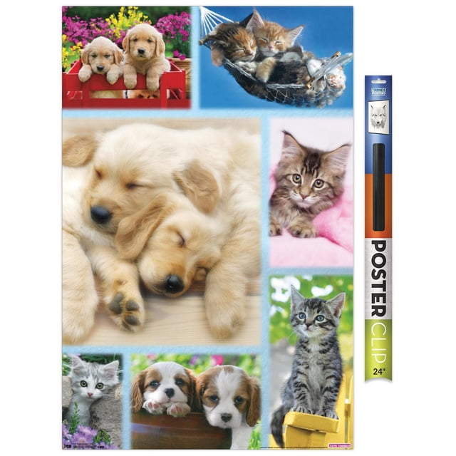 Keith Kimberlin - Affiche Murale Collage de Chiots et Chatons, 22,375 Po x 34 Po Présentant un Collage Lustré de Chiots golden retriever Dormant Ensemble, de Chatons Câlinés dans un Hamac et de Chatons Ludiques dans des Contextes Intérieurs et Extérieurs, Parfait pour Décorer des Chambres, des Bureaux Ou des Dortoirs.