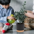 thumbnail image 3 of QCQHDU 2 Pack Plant Pot, Black Plastic Indoor Planter With Drainage Holes And Removable Base, 3 of 6