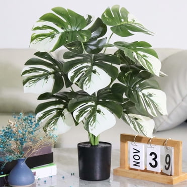 Yhmxh Home Decor, Room Decor, Wall Decor Artificial Turtle Plant Fake Tropical Turtle Leaves Faux Green Plant Potted Outdoor Indoor Decoration Monstera potted plants