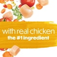 thumbnail image 4 of Beneful Originals with Real Chicken, Dry Dog Food 7kg, 4 of 10