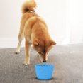 thumbnail image 4 of Interactive Dog Slow Feeder Bowl with Anxiety and Non- Silicone Base for All Breed Sizes, 4 of 4