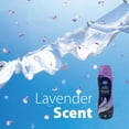 thumbnail image 2 of Great Value In-Wash Lavender Scent Booster, 2 of 4