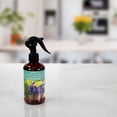 thumbnail image 3 of ScentSationals Room Spray - Peppermint & Lavender, 3 of 3
