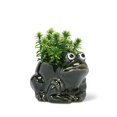 thumbnail image 2 of Abbott Collection AB-27-CRITTER-543 4.5 in. Crouched Frog Planter, Dark Green - Small, 2 of 3