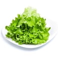 thumbnail image 4 of GSDWIUEW 2000 Premium Lettuce Seeds for Planting- Vegetable Seeds for a Thriving Garden, 4 of 4