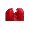 thumbnail image 3 of INSPIRE CHIC Women's Plus Size Full Coverage Padded Floral Underwired Bra, 3 of 6