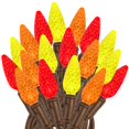 thumbnail image 1 of Novelty Lights 24FT 70 LED C6 Thanksgiving & Outdoor Christmas Tree Lights, 1 of 7