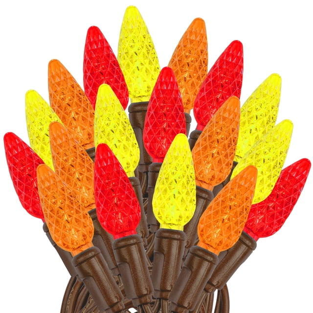 Novelty Lights 24FT 70 LED C6 Thanksgiving & Outdoor Christmas Tree Lights