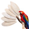 thumbnail image 1 of 6 Pcs Bird Chewing Cuttlefish Bone Gnawing Cuttlebone Bird Cage Accessories Natural Cuttlebone for Birds, 1 of 8