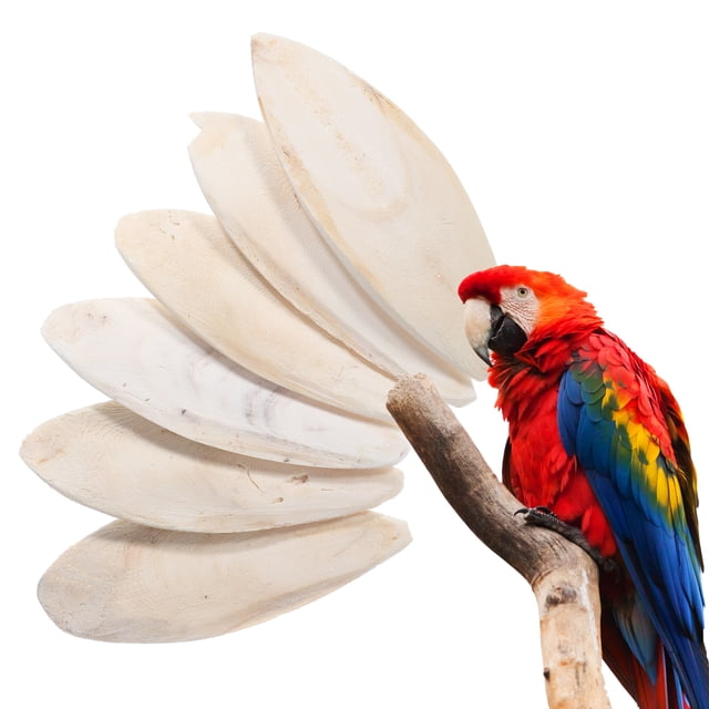 6 Pcs Bird Chewing Cuttlefish Bone Gnawing Cuttlebone Bird Cage Accessories Natural Cuttlebone for Birds