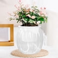 thumbnail image 2 of Dvruxg Self Watering Pots for Indoor Plants Planters with Drainage Holes Flower Pots Durable Plastic with Wick Rope and Reservoir(Clear), 2 of 5
