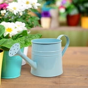 EDHITNR Small Watering Can for Indoor Plants with Comfortable Handle, Lightweight Metal or Plastic Watering Can for Potted Plants Slender Spout for Gentle Watering