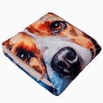 thumbnail image 1 of Pets, Paws and Ideas Couverture Imperméable pour Animaux de Compagnie pour Chiens et Chats, Protecteur Réversible pour Meubles, Lit et Canapé, Anti-Déversement, Lavable, Housse en Molleton Sherpa Douce Motif Border Collie, 1 of 9
