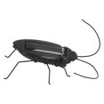 thumbnail image 4 of Fdit Solar Powered Insect Toys Simulation Fake Roach Toys Cockroach Decoration Props,Cockroaches Prank Props,Solar Powered Insect Toys, 4 of 8