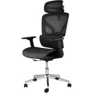 Chaise de bureau ergonomique Mesh réglable Lombaire et profondeur du siège 350 lbs Home Office et jeu noir