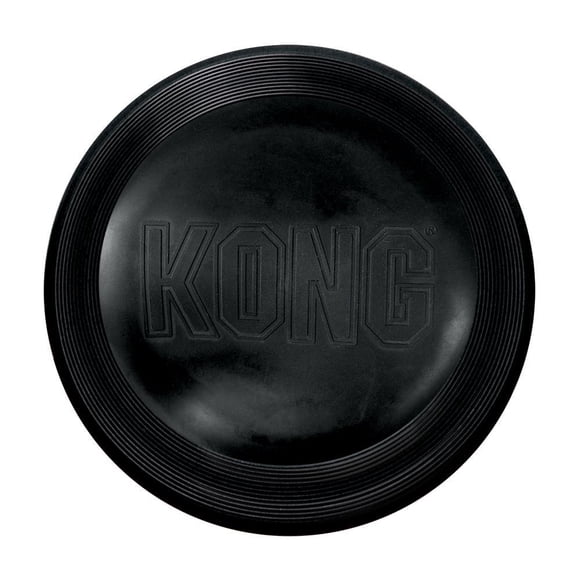 KONG Aviateur Extrême
