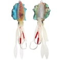 thumbnail image 1 of Soft Luminous Fishing, Octopus Squid Lure Tackle Artificiali Jigging Bait  Calamaro Accessory4, 1 of 8
