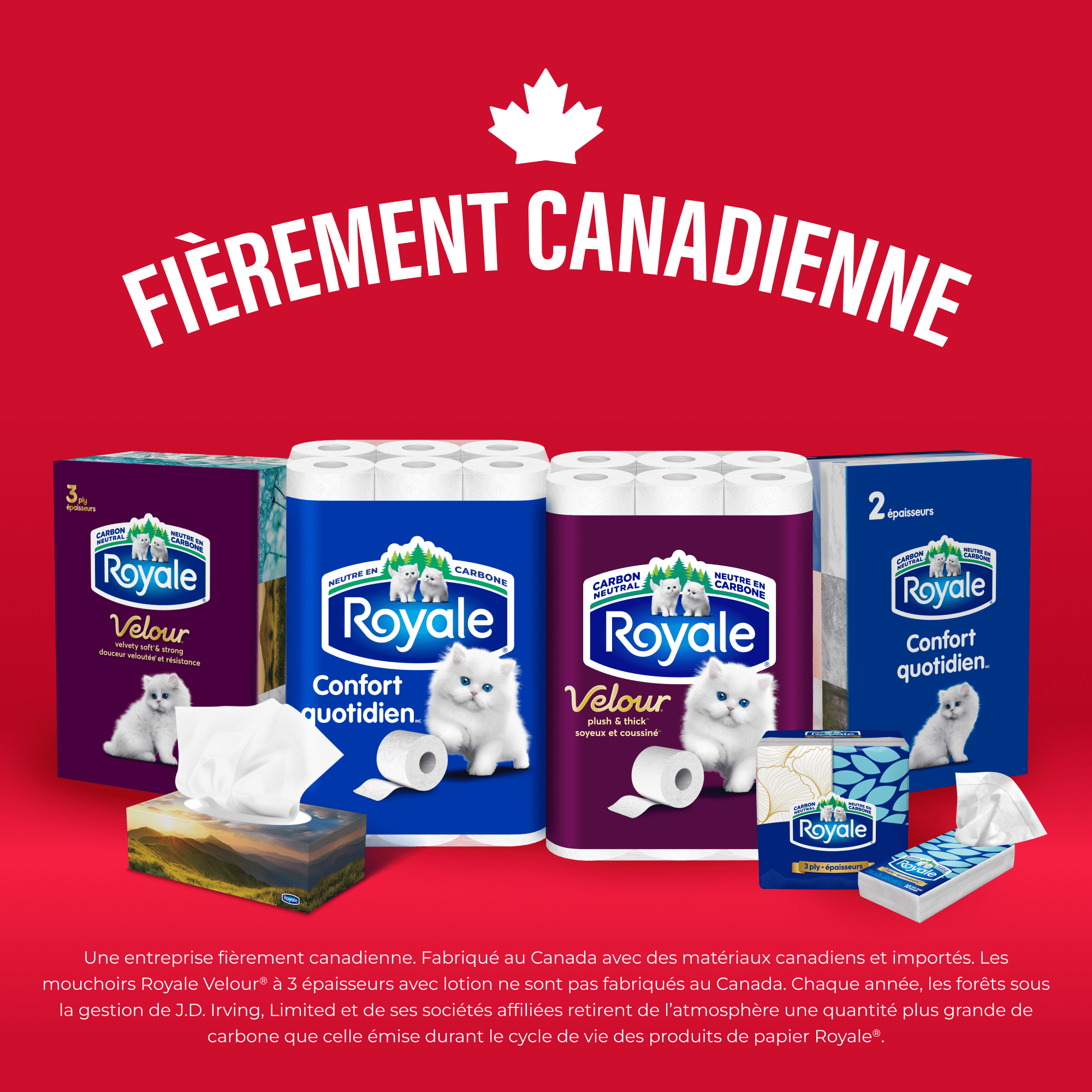 Royale Papier Hygiénique Velour, 24 équivalant à 48 rouleaux