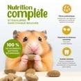 thumbnail image 4 of Living World Complete Hamster Food, 1.5 kg, 4 of 7