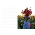 thumbnail image 5 of Floret Farm's Cut Flower Garden: Garden Journal, 5 of 5