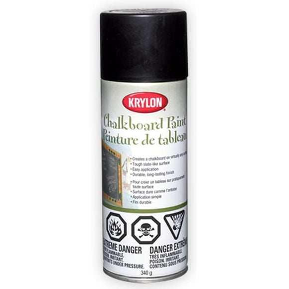 Krylon Chalkboard Paint Aerosol