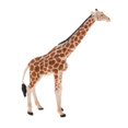 thumbnail image 3 of Xingzhi Simulation Animal Model Kids Educational Toys giraffe PL127-413, 3 of 5