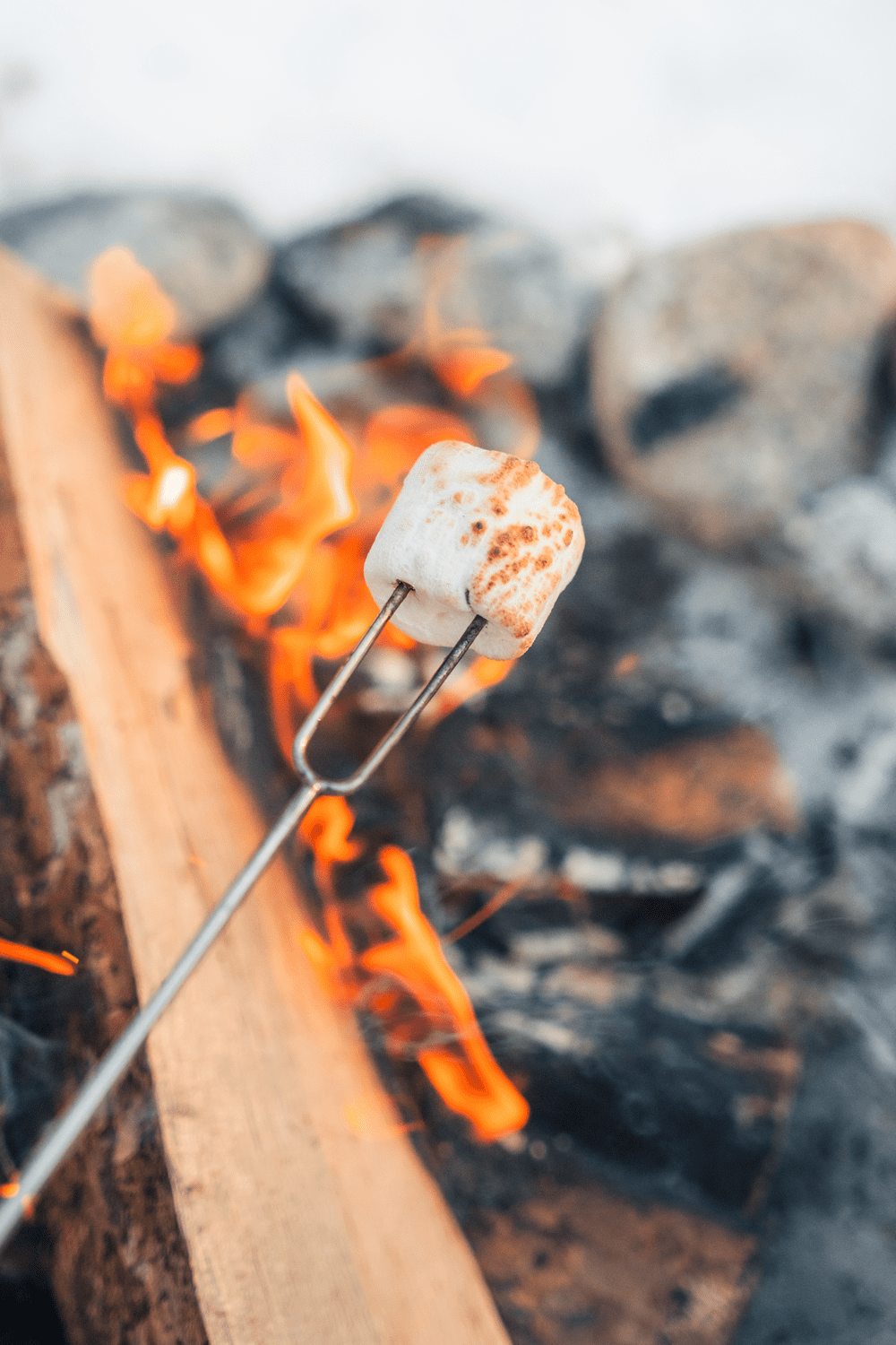 Coghlan's Telescoping Campfire Roasting Fork, 20-30 in Portable Skewer for Marshmallows & Hot Dogs