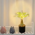 thumbnail image 3 of LED Christmas Tree Lights with USB Power – Warm White Twig Simulation Plant Night Light, 30-Bead, IP44 Rated, 4.5 V, 45 cm Tall, 3 of 7
