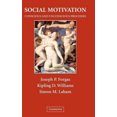 thumbnail image 3 of Social motivation, 3 of 4