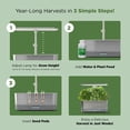 thumbnail image 4 of AeroGarden Harvest Elite Slim - Stainless Steel, 4 of 9