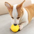 thumbnail image 3 of Dog Ball Toy, EVA Material  Dog Chew Toy, For Dogs Grind Their Teeth Dogs Pet Relieve Pressure, 3 of 8