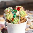 thumbnail image 4 of Chmadoxn Home Decor, Room Decor, Wall Decor Acrylic Potted Insert Planter Decoration decontaminating agent, 4 of 5
