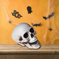 thumbnail image 1 of EGNMCR Halloween Decorations, Halloween Skeletons Plastic Realistic Fake Simulation Human Skull HeadBone Model Halloween Prop Realistic Mini Skeleton Spooky Halloween Decoration A Skeleton, 1 of 5